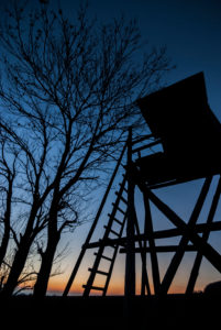 Deutschland, Niedersachsen, Wolfenbüttel, Kneitlingen, Silhouette Hochsitz zur Blauen Stunde Deutschland, Niedersachsen, Wolfenbüttel, Kneitlingen, Silhouette Hochsitz zur Blauen Stunde
